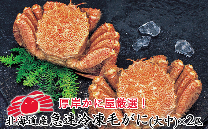 かに屋厳選 北海道産　急速 冷凍 毛がに（大中）×2尾 蟹 かに 毛カニ 