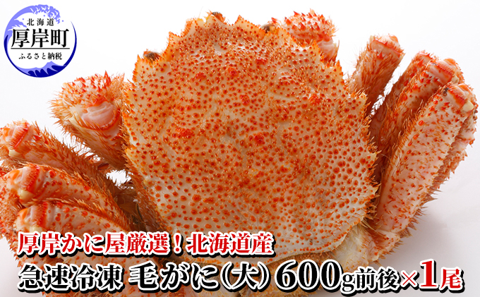 厚岸かに屋厳選！北海道産　急速冷凍 毛がに（大）600g前後×1尾　 毛カニ 蟹 