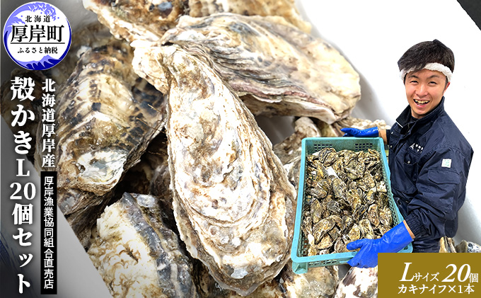 厚岸産 殻かき L 20個セット 北海道 牡蠣 カキ かき 生食  魚介類 マルえもん