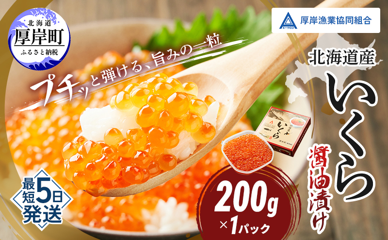【9月30日受付終了】北海道産 いくら 醤油漬け 200g 魚貝類 魚卵 いくら醤油漬け イクラ 