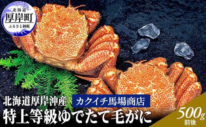 先行予約 蟹屋厳選　北海道 厚岸沖産　特上等級 ゆでたて 毛がに (500g前後×2尾 蟹 毛カニ 毛ガニ 冷蔵 茹でガニ 