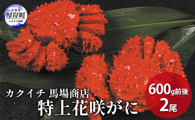 蟹屋厳選 北海道　厚岸産 特上花咲がに 600g前後×2尾 蟹 かに 海の幸 海鮮 国産 北海道産 年末年始 準備 お祝い メニュー 親戚 集まり つまみ お酒 あて 急速冷凍 