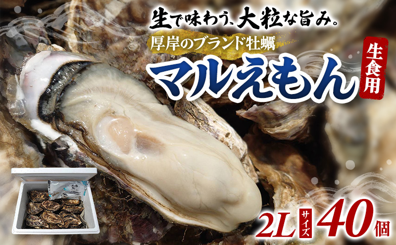 牡蠣 厚岸のブランド牡蠣 マルえもん 2Lサイズ 40個 生食用 魚貝類 海鮮 海のミルク 国産 生食用殻付き牡蠣 まろやか クリーミー 食べやすい品種 海の香り 牡蠣の酒蒸し 焼き牡蠣 マルえもん