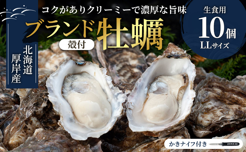 北海道 厚岸産 生食用 殻付カキ LLサイズ 10個 マルえもん 牡蠣 魚貝類 生牡蠣 かき
