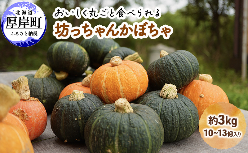 厚岸ハスカ 坊ちゃんかぼちゃ 約3kg（10～13個入り） 野菜 味が濃い 甘い 北海道産 北海道かぼちゃ パンプキン 