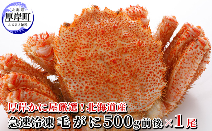 厚岸かに屋厳選 北海道産 急速冷凍 毛がに 500g前後×1尾 蟹 カニ 加工販売 蟹問屋 身がぎっしり 見極め 最適 塩加減 茹でる 大釜 美味しい 