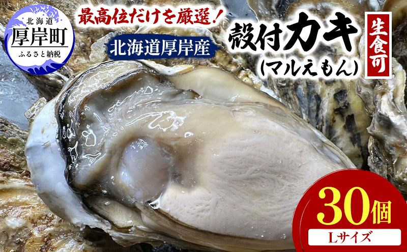 北海道 厚岸産 ブランド牡蠣 マルえもん 殻付き 牡蠣 Lサイズ 30個 【光輝】 [ 魚貝類 生牡蠣 海鮮 海の幸 生食用牡蠣 生食用 生食用殻付き牡蠣 濃厚 甘み  オイスター ]  