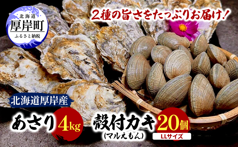 北海道 厚岸産 砂抜き済み あさり 4kg ＆ ブランド牡蠣 マルえもん 殻付き LLサイズ 20個 【光輝】 [ 魚貝類 海鮮 海の幸 みそ汁 酒蒸し アサリバタ 産地直送 生食用牡蠣 生食用 牡蠣 カキ ］