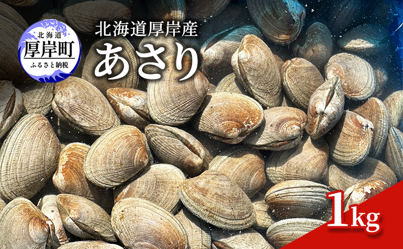 北海道 厚岸産 砂抜き済み あさり 1kg【光輝】 [ 海産物 海の幸 味が濃い 貝類 貝 みそ汁 酒蒸し アサリバター 食材 食べ物 パスタ ] 