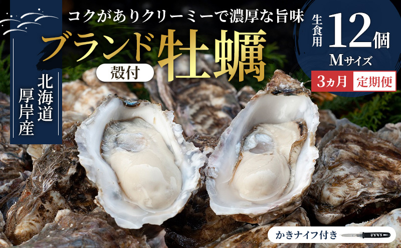 【 3ヵ月 定期便 】 北海道厚岸産 生食用 殻付カキ Mサイズ  12個　マルえもん 魚貝類 海の幸 海のミルク 海鮮 国産 北海道産 オイスター つまみ お酒 あて 肴 生牡蠣 メルマガ掲載商品1