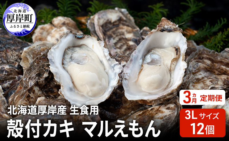 【 3ヵ月 定期便 】 北海道厚岸産 生食用 殻付カキ 3Lサイズ  12個　マルえもん 魚貝類 海の幸 海のミルク 海鮮 国産 北海道産 オイスター つまみ お酒 あて 肴 生牡蠣 メルマガ掲載商品1