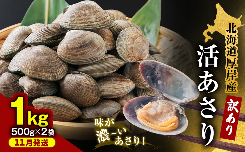 【11月発送】訳あり 北海道 厚岸産 砂出し済み 活あさり 500g×2 (合計1kg) 【厚岸海産】[ アサリ 魚貝 海鮮 大粒 美味しい 栄養 旨み 砂出し 水洗い 冷蔵 便利 ] 