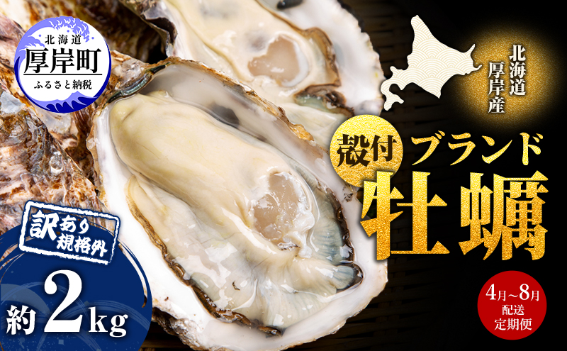 4月～8月 定期便 ハーフ 規格外 牡蠣 北海道厚岸産 殻付カキ 約2kg（11～25個）カキナイフ付 生食 魚貝類 生牡蠣 かき 生カキ カキフライ マルえもん いびつな形 四季によって違う味わい コクがあり濃厚