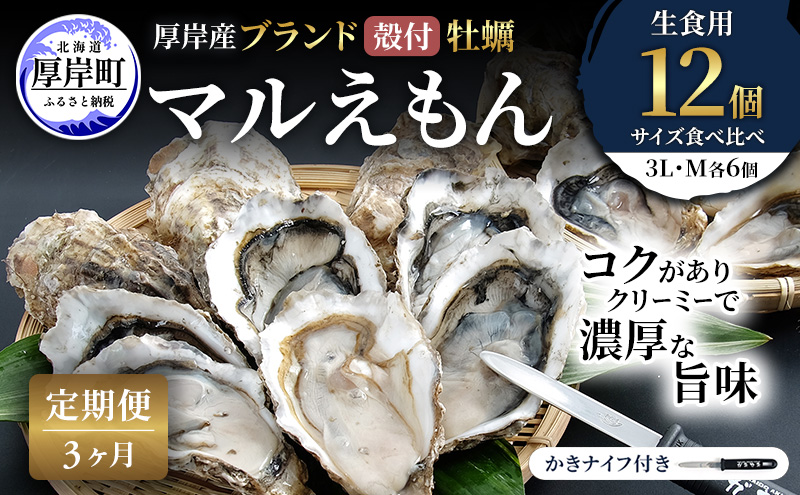 【 3ヵ月 定期便 】 厚岸産 ブランド 殻付カキ マルえもん 生食用 サイズ食べ比べ 12個 (3L・M各6個)[ 魚貝類 生牡蠣 かき 牡蠣 カキ 生ガキ 食べ比べ ]