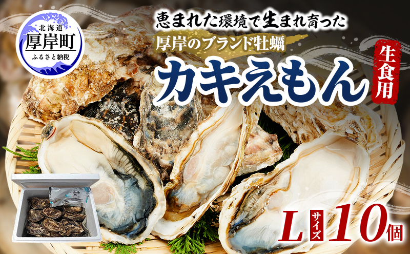 牡蠣 厚岸のブランド牡蠣 生食用 カキえもん Lサイズ 10個  [ 魚貝類 海鮮 海のミルク 国産 生食用殻付き牡蠣 まろやか クリーミー 食べやすい品種 海の香り 牡蠣の酒蒸し 焼き牡蠣  ]
