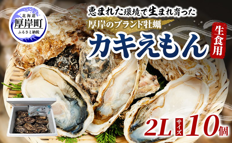 牡蠣 厚岸のブランド牡蠣 生食用 カキえもん 2Lサイズ 10個  [ 魚貝類 海鮮 海のミルク 国産 生食用殻付き牡蠣 まろやか クリーミー 食べやすい品種 海の香り 牡蠣の酒蒸し 焼き牡蠣  ]