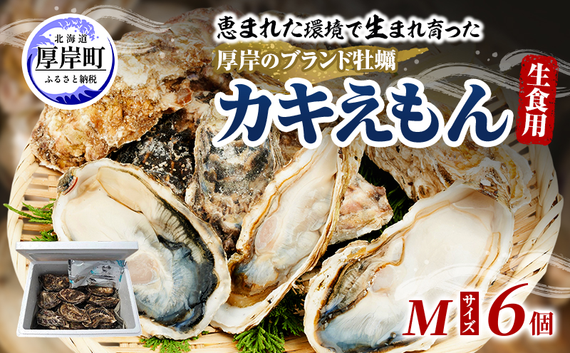 牡蠣 厚岸のブランド牡蠣 生食用 カキえもん Mサイズ 6個  [ 魚貝類 海鮮 海のミルク 国産 生食用殻付き牡蠣 まろやか クリーミー 食べやすい品種 海の香り 牡蠣の酒蒸し 焼き牡蠣  ]