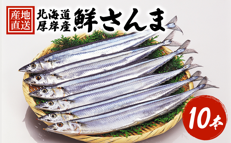 先行予約 産地直送 鮮度抜群 北海道 厚岸産 刺身用 鮮さんま 10本 サンマ 秋刀魚 さんま 鮮魚 魚介類 海産 生さんま