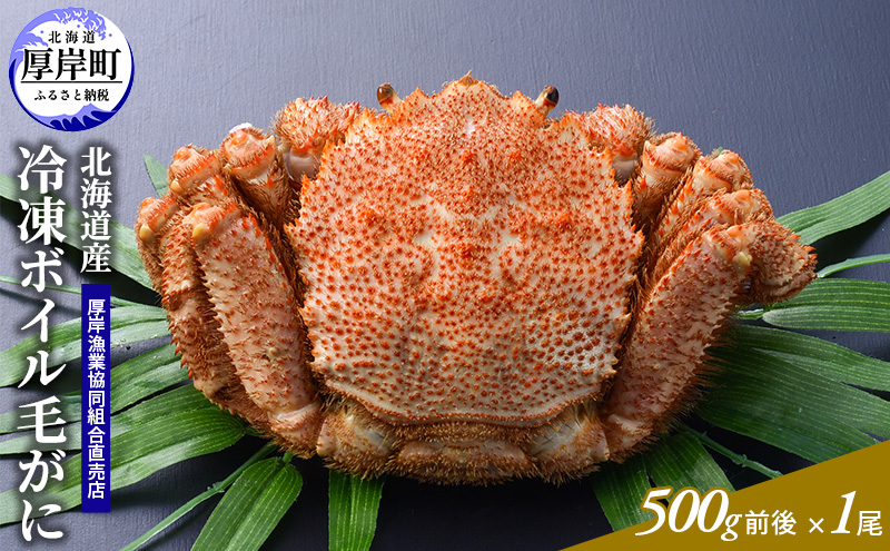 訳あり カニ 3D冷凍 北海道産 冷凍 ボイル 毛がに 500g前後×1尾 【厚岸漁業協同組合】[ 毛カニ 蟹 毛ガニ カニ かに ] 