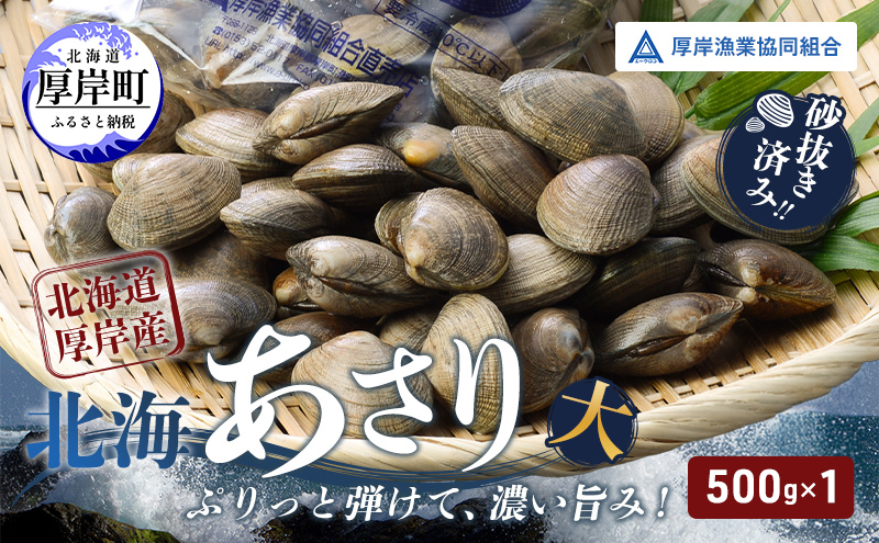 あさり【4月～6月発送】北海道 厚岸町産 天然 殻あさり(大)  500g×1　【厚岸漁業協同組合】[ アサリ 貝 味噌汁 酒蒸し 混ぜご飯 ] 