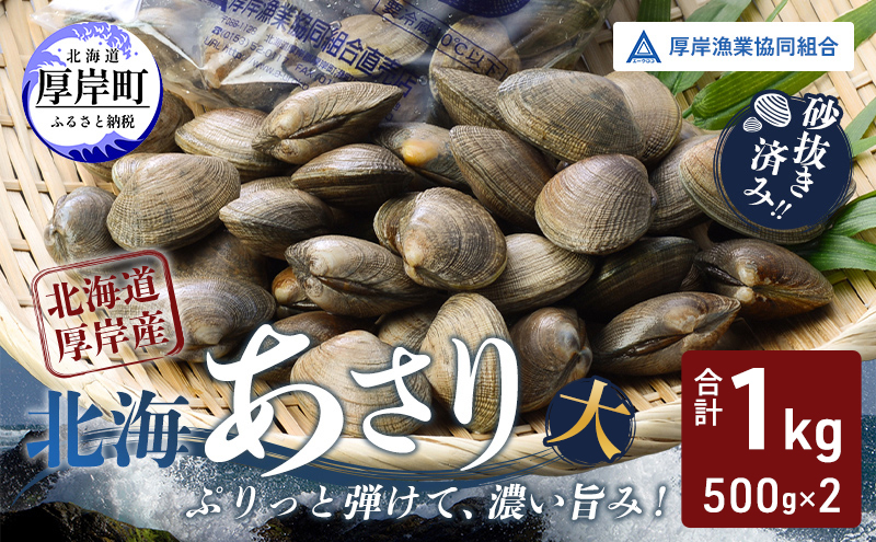 あさり【4月～6月発送】北海道 厚岸町産 天然 殻あさり(大)  500g×2　【厚岸漁業協同組合】[ アサリ 貝 味噌汁 酒蒸し 混ぜご飯 ] 