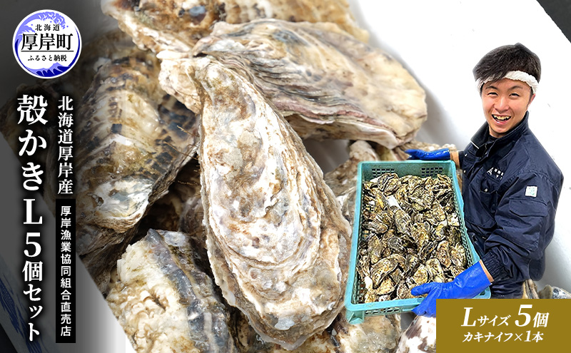 牡蠣 殻付き 生食 L5個 北海道 厚岸産 マルえもん【厚岸漁業協同組合】カキナイフ付 [ カキ かき 生牡蠣 殻かき オイスター 冷蔵 ］
