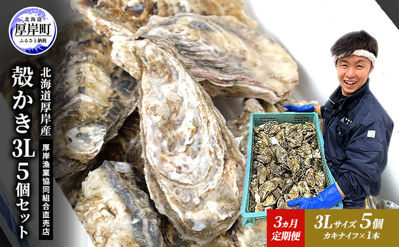 定期便 3ヵ月 牡蠣 殻付き 生食 3L5個 北海道 厚岸産 マルえもん【厚岸漁業協同組合】カキナイフ付 [ カキ かき 生牡蠣 殻かき オイスター 冷蔵 ］