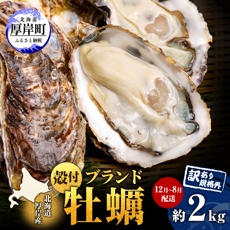 訳あり ハーフ 規格外 牡蠣 北海道厚岸産 殻付カキ 約2kg（11～25個）カキナイフ付 生食 魚貝類 生牡蠣 かき 生カキ カキフライ マルえもん いびつな形 四季によって違う味わい コクがあり濃厚