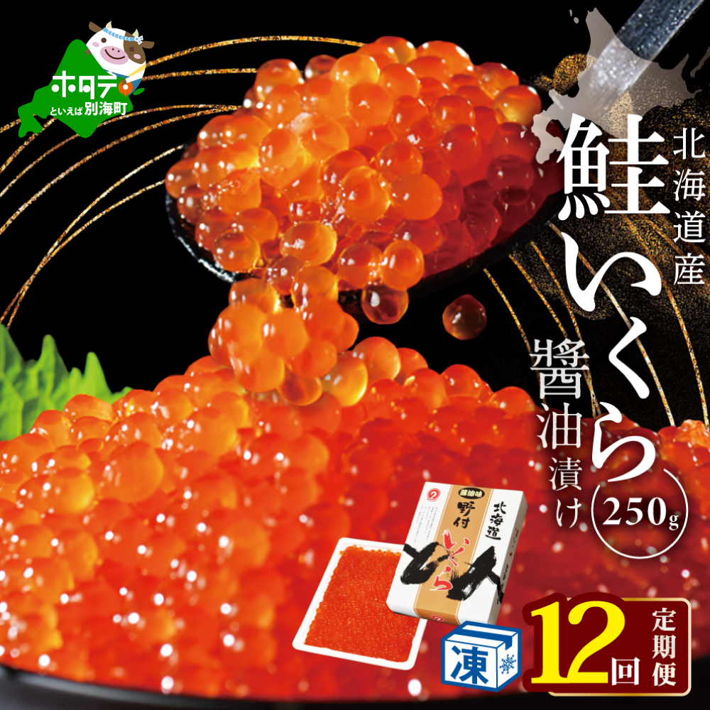 計3kg【250g×1パック 12回 お届け】 12ヵ月 定期便 漁協 直送！本場「北海道」 いくら 醤油漬け【NKM12NQ08】( いくら いくら醤油漬け いくら醤油漬 醤油いくら 鮭いくら 国産いくら 北海道産いくら 地場産いくら 道産いくら 別海町 ふるさと納税 ふるさと ikura )