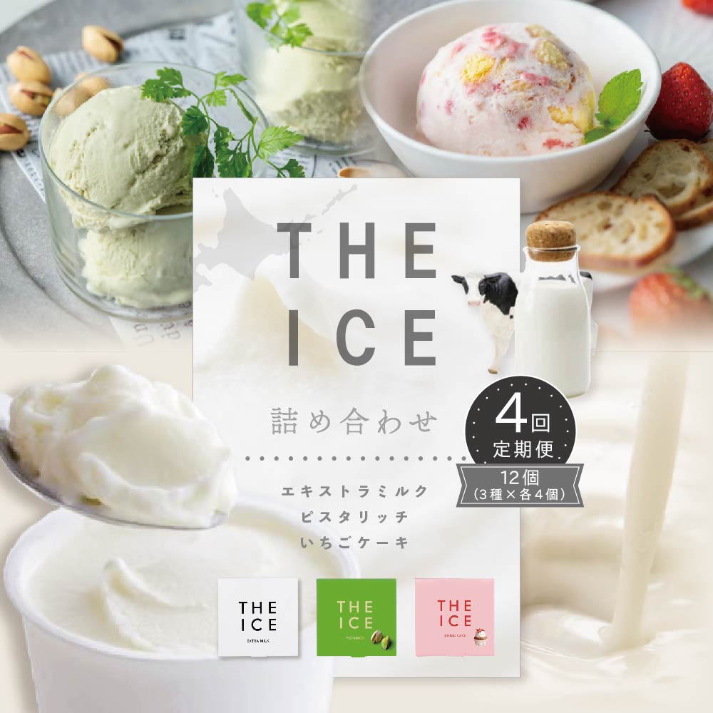 【毎月定期便】【THE ICE】3種詰合せ12個セット×4ヵ月定期便 【be003-1073-100-4】（J FARM AMUSE 株式会社）