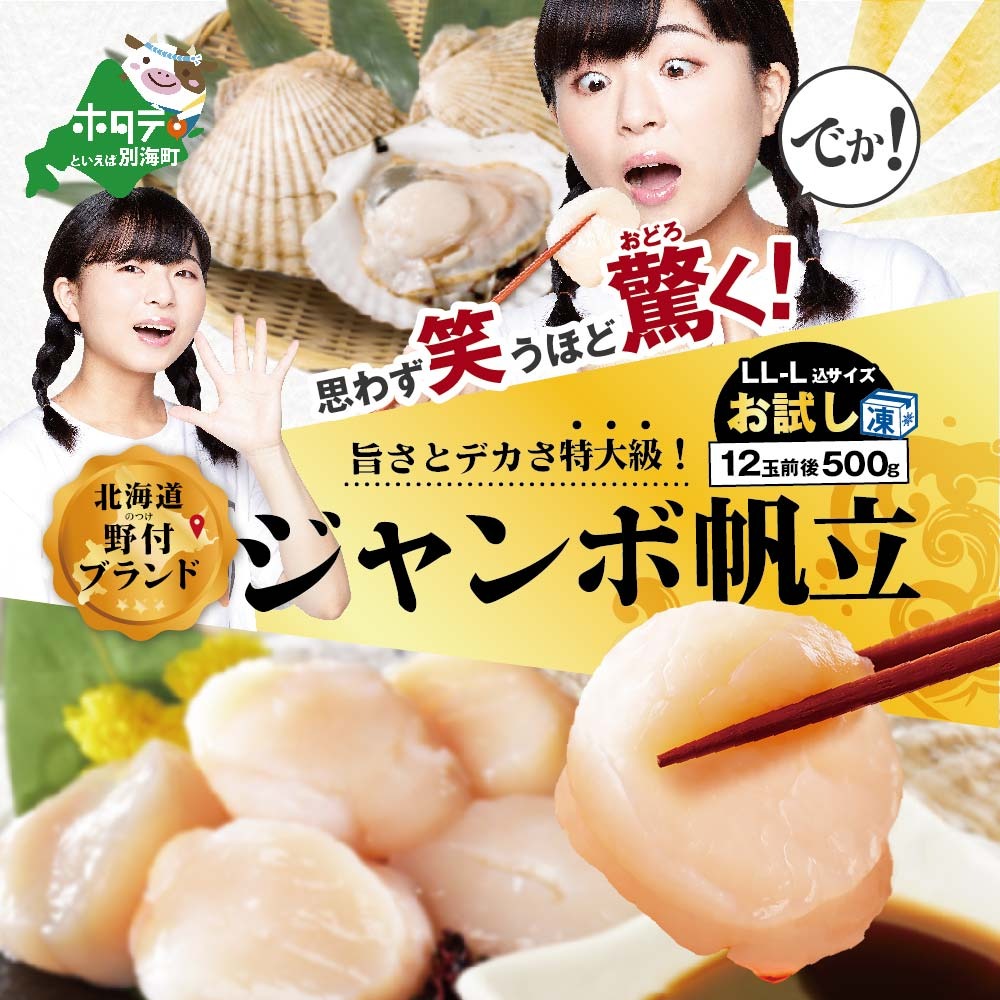 思わず笑うほど驚くお試しジャンボホタテ500g（ほたて ホタテ 帆立 貝柱 ホタテ貝柱 大玉 大粒 北海道 別海 野付 ふるさと納税）