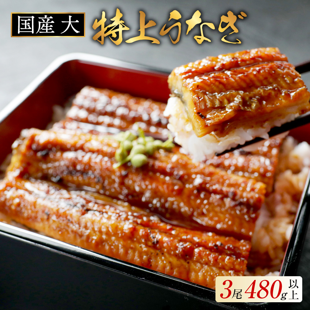 （6月）国産 大 特上うなぎ(160g×3尾)