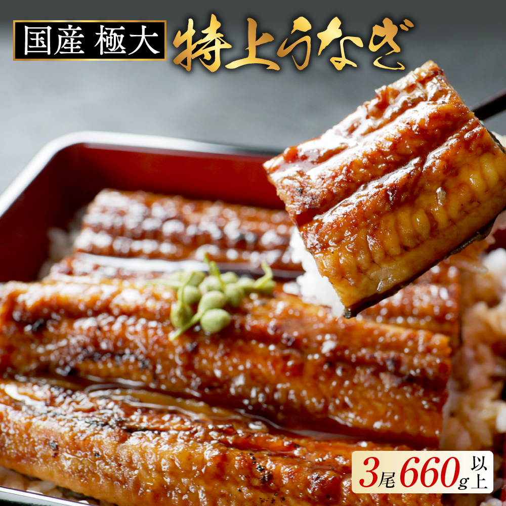 （6月）国産 極大 特上うなぎ(220g×3尾)