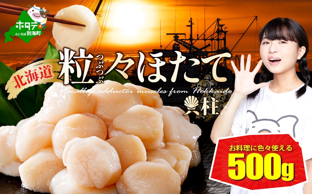 【訳あり】北海道 ホタテ 500g  (  ほたて ホタテ ホタテ貝柱 帆立貝 帆立貝柱 北海道 別海町 ふるさと納税 ）																								