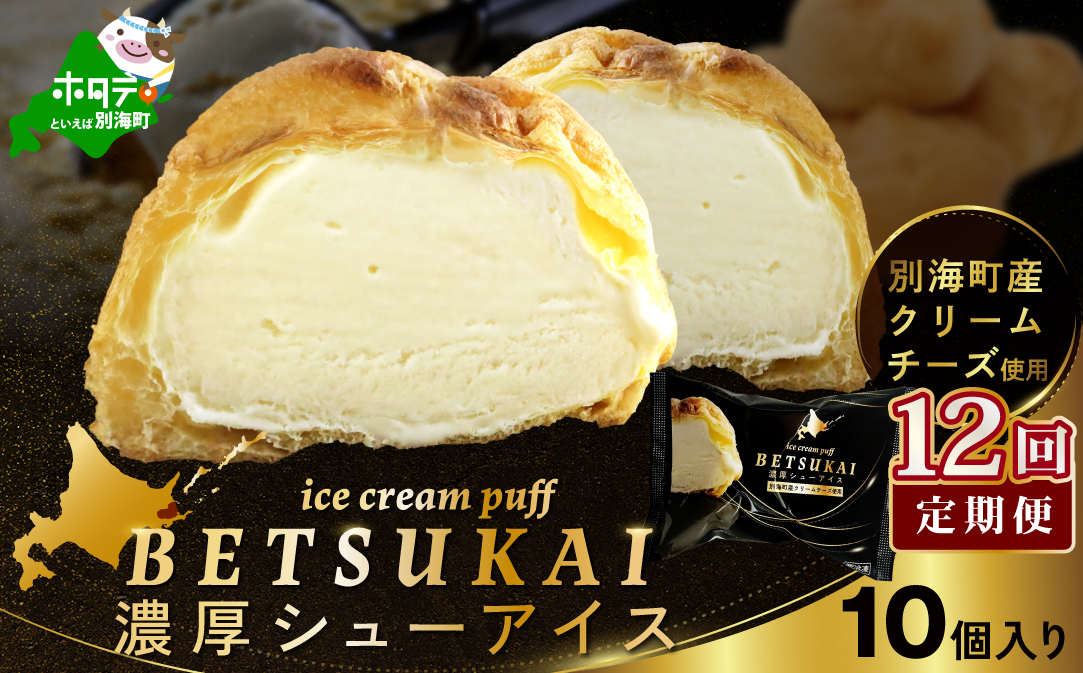 北海道 別海町 【12か月定期便】 BETSUKAI 濃厚 シューアイス 10個 セット【NSM120001】