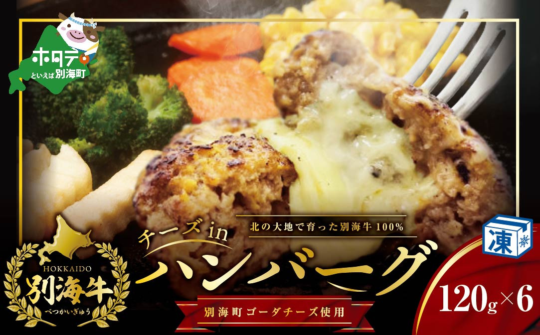 【別海牛100%と別海町ゴーダチーズ】チーズがとろける!別海チーズインハンバーグ(120g×6個)【ND0000085】（串あげ処 のどか）