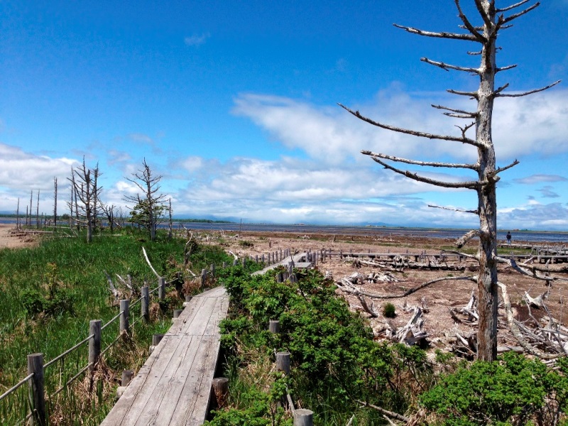 脱炭素の推進をはじめとする自然環境や地域景観の保全に資する事業