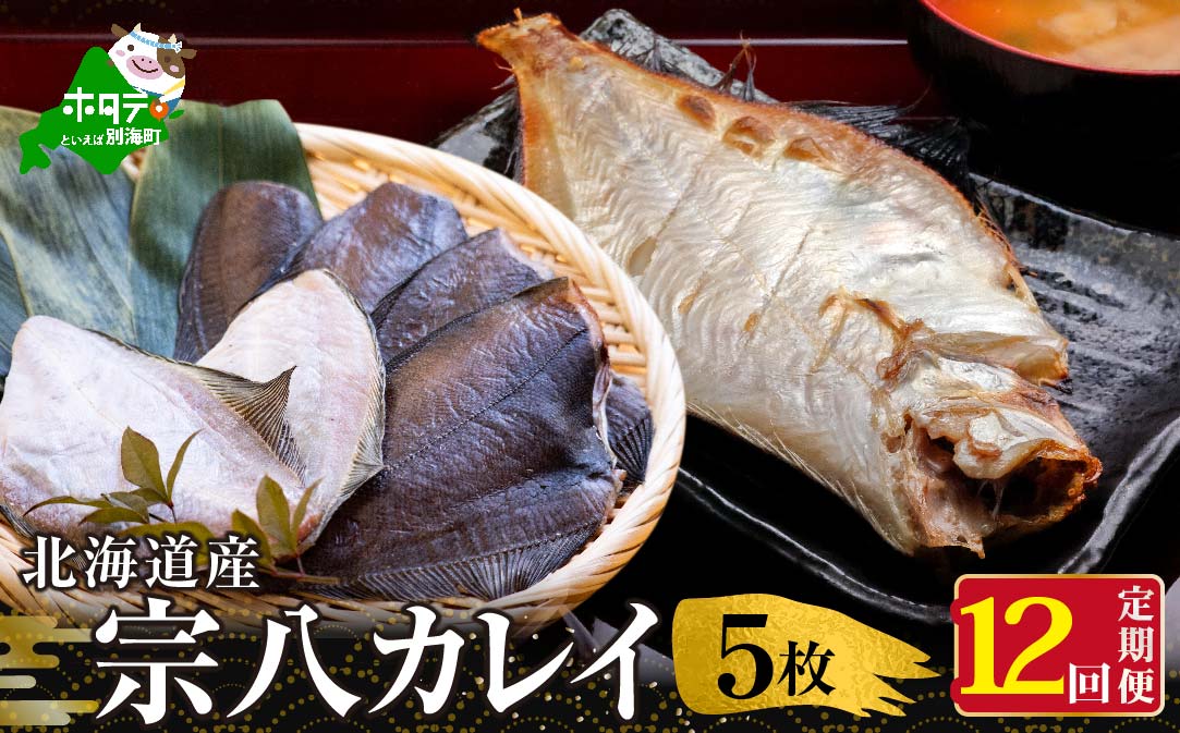 【定期便】北海道 産 一夜干し 宗八 カレイ 5枚 × 12ヵ月 【全 12回 】