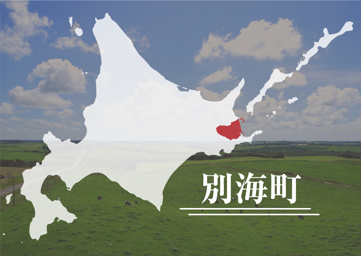 千島海溝周辺海溝型地震ほか災害への対応、デジタル化の推進ほか自治基盤の強化に資する事業