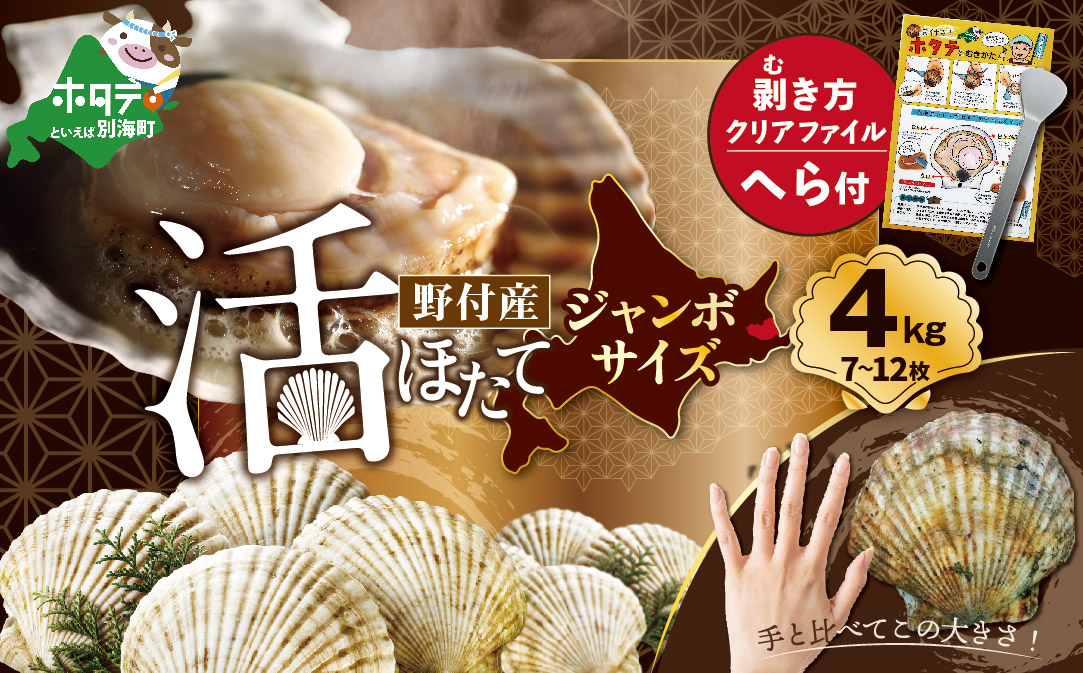 【先行予約】ジャンボ活ほたて 4kg相当 7〜12枚入り＜朝どり新鮮出荷!＞( ふるさと納税 ほたて 大玉 生食 活きほたて 生ホタテ 生帆立 生ホタテ貝柱 帆立貝柱 天然 冷蔵 刺身用 生 )