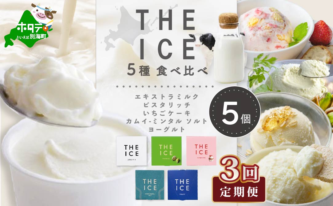 【毎月3回定期便】【THE ICE】5種食べ比べ 5個セット【CJM030206】