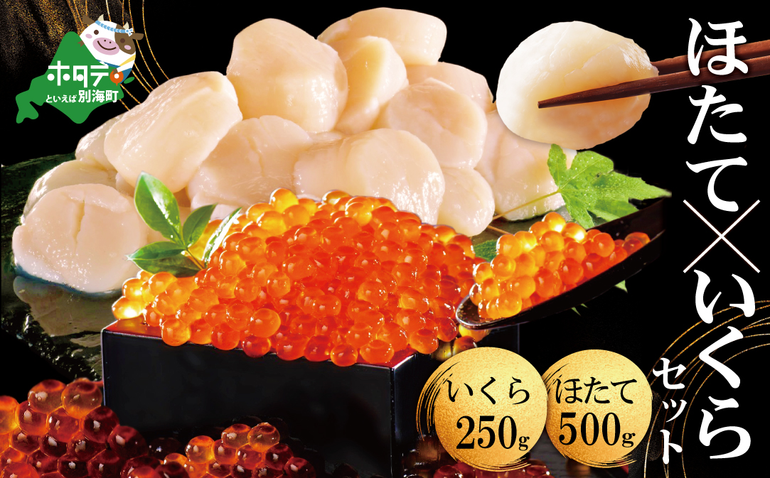 いくら ホタテ 海鮮 セット ！ 北海道 中粒ホタテ 500g（約35粒） & いくら 醤油漬け 250g（野付漁業協同組合）
