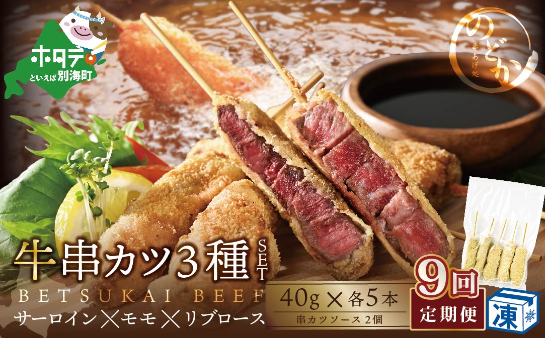 【毎月定期便】サーロイン・モモ・リブロース3種の牛カツセット×9ヵ月【be046-0935-100-9】（串あげ処のどか）