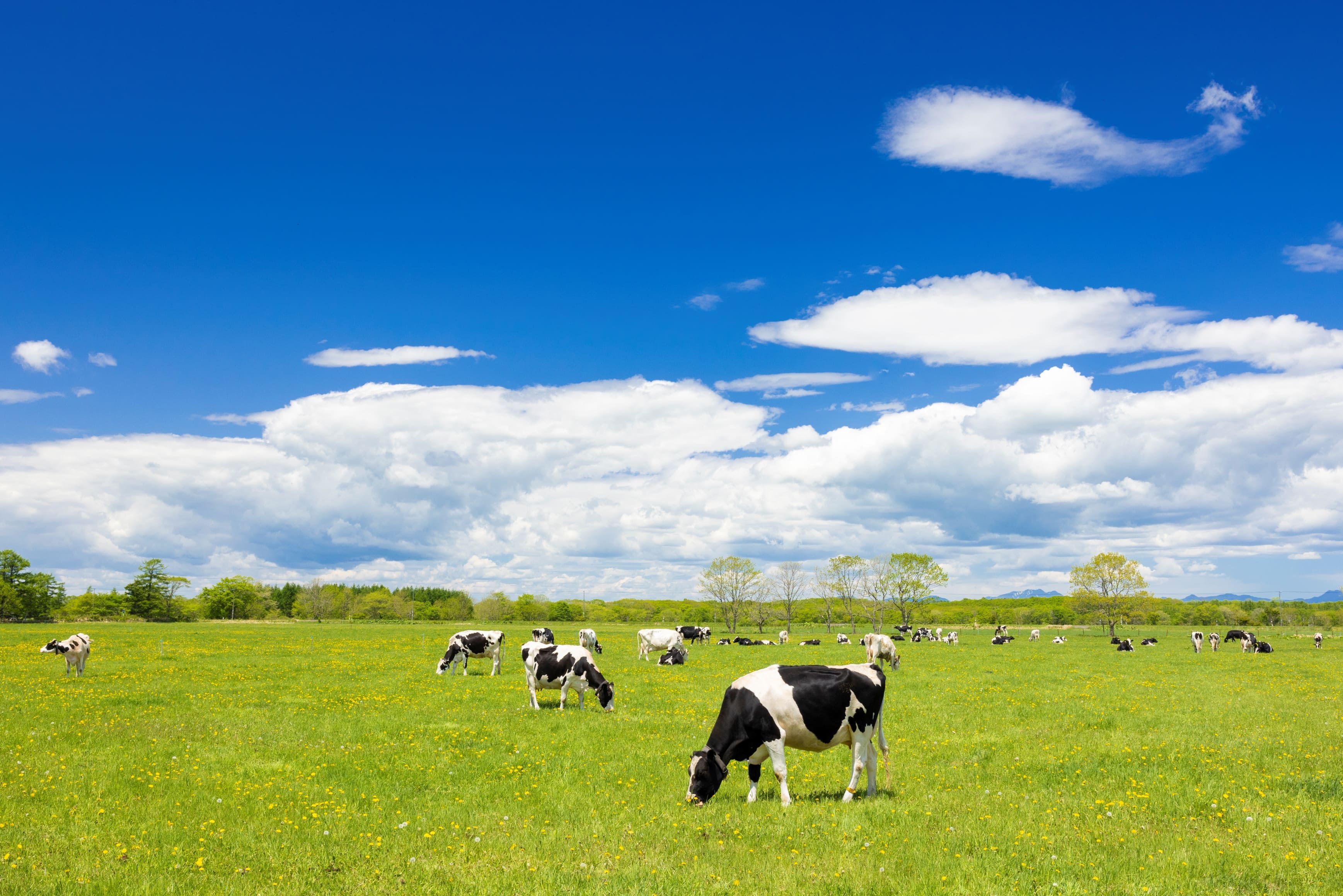 北海道&nbsp;別海町