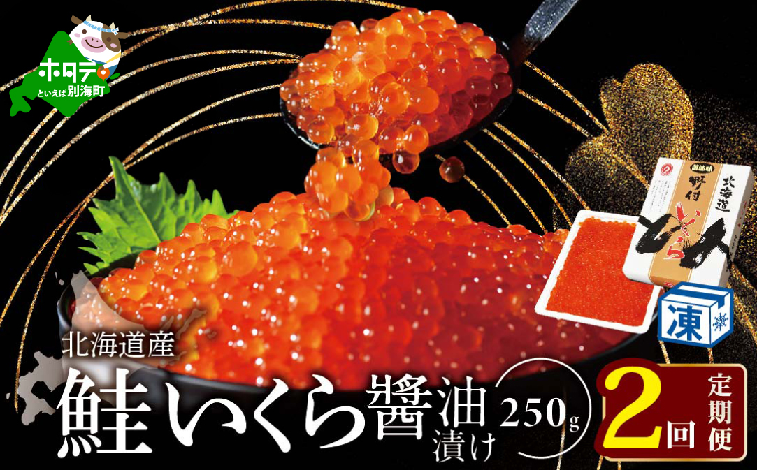 【250g×1パック 2回 お届け】 2ヵ月 定期便  本場「北海道」 いくら 醤油漬け【NKM02NQ13】( いくら イクラ いくら鮭 イクラ鮭 いくら醤油漬け イクラ醤油漬け 国産 道産 )