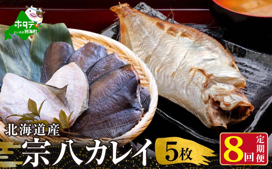 【定期便】北海道 産 一夜干し 宗八 カレイ 5枚 × 8ヵ月 【全 8回 】