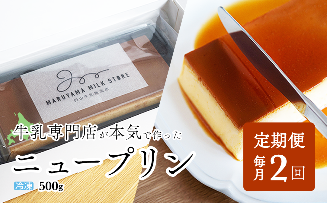 【定期便】濃厚プリン　New Pudding（ニュープディング）（500g×1本）×2ヶ月【be152-0931-100-2】
